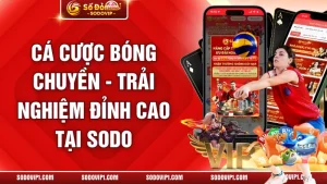 Cá Cược Bóng Chuyền - Trải Nghiệm Đỉnh Cao Tại SODO