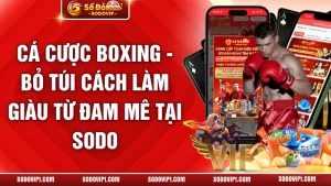 Cá Cược Boxing - Bỏ Túi Cách Làm Giàu Từ Đam Mê Tại SODO