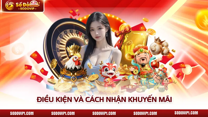 Điều kiện nhận và sử dụng mã code