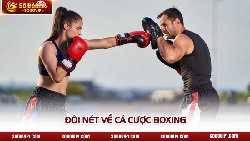 Đôi nét về cá cược Boxing