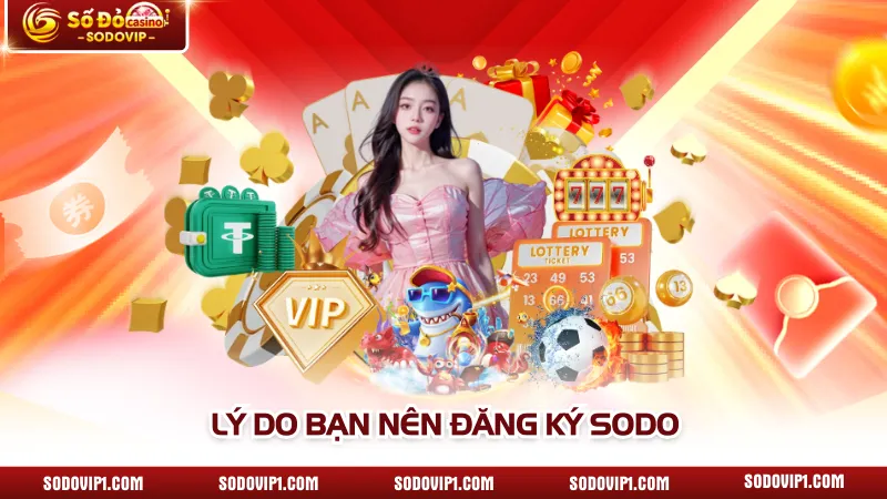 Lý do bạn nên đăng ký SODO