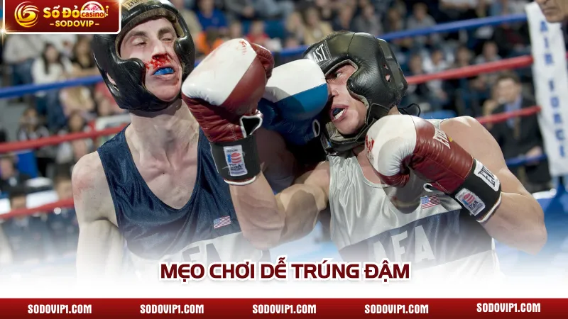 Mẹo chơi dễ trúng đậm