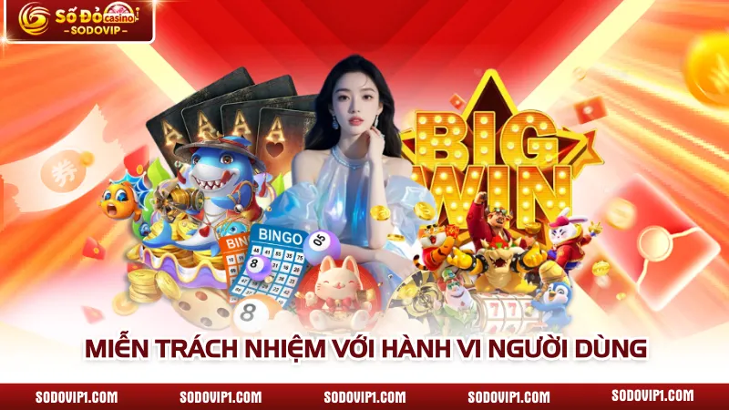 Miễn trách nhiệm với hành vi người dùng