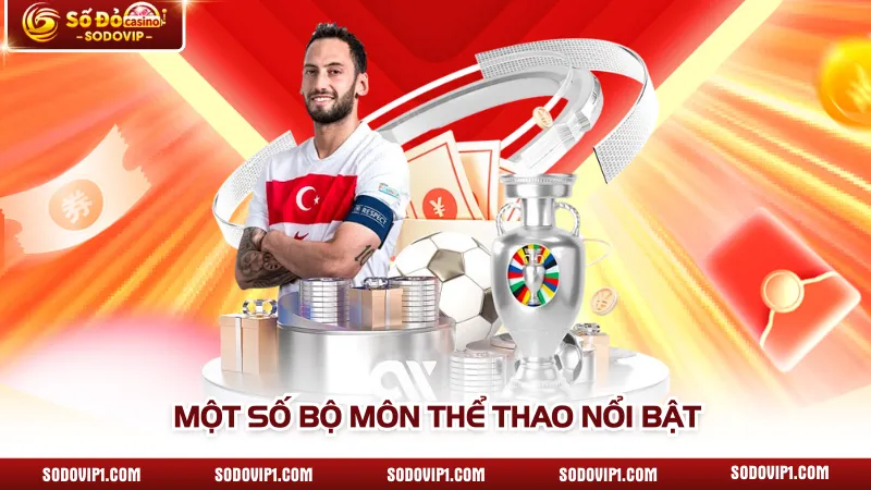 Một số bộ môn thể thao nổi bật