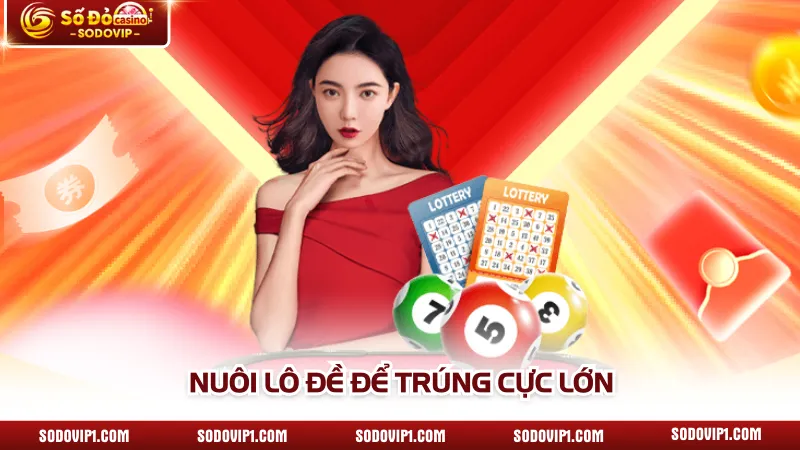 Nuôi lô đề để trúng cực lớn