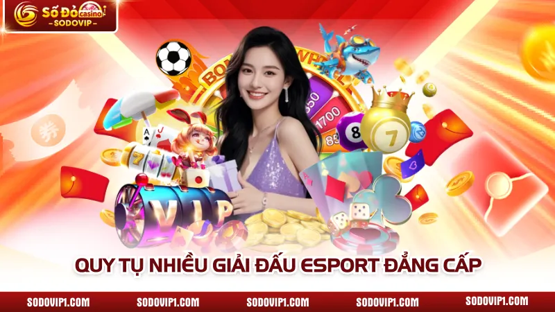 Quy tụ nhiều giải đấu Esport đẳng cấp